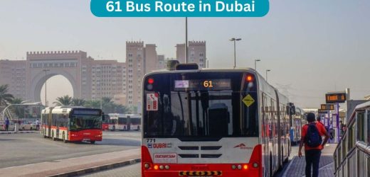 61 Bus Route in Dubai – Time Schedule, Stops and Maps