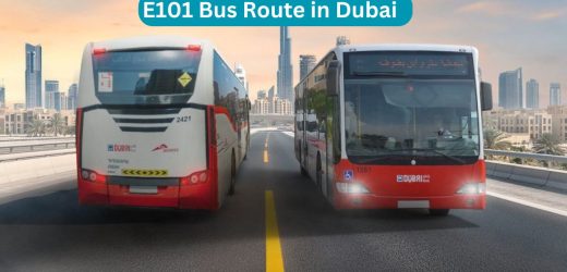 E101 Bus Route in Dubai – Time Schedule, Stops and Maps
