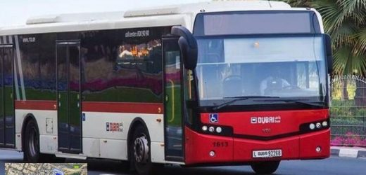 F06 Bus Route in Dubai – Time Schedule, Stops and Maps