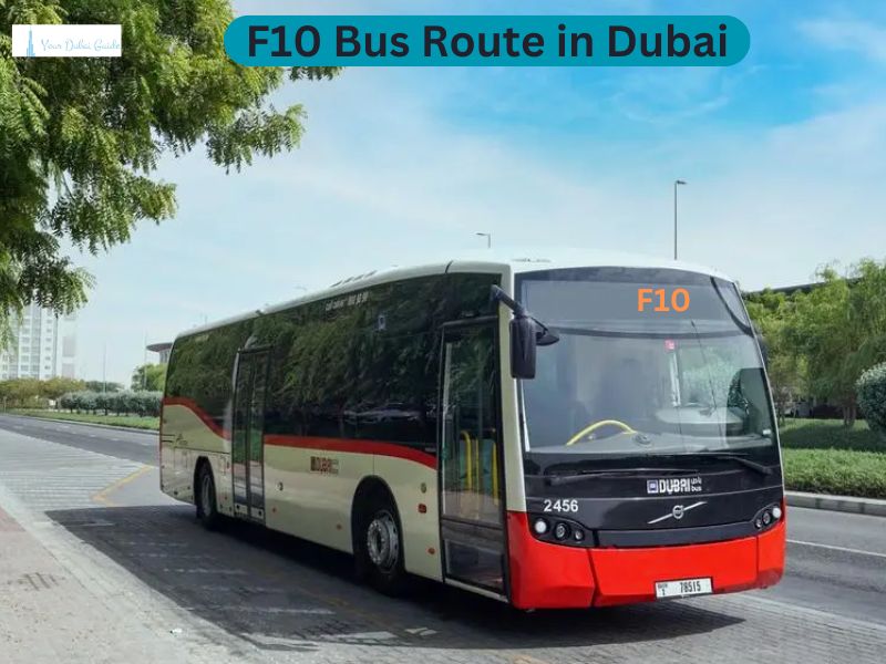 F10 Bus Route in Dubai – Time Schedule, Stops and Maps