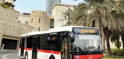 F13 Bus Route in Dubai – Time Schedule, Stops and Maps