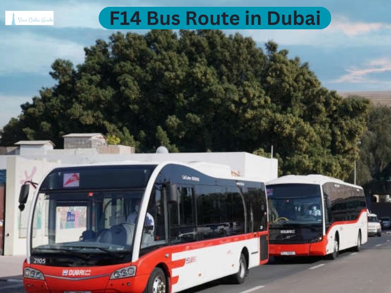 F14 Bus Route in Dubai – Time Schedule, Stops and Maps