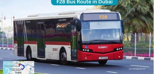 F28 Bus Routes in Dubai – Time Schedule, Stops and Maps