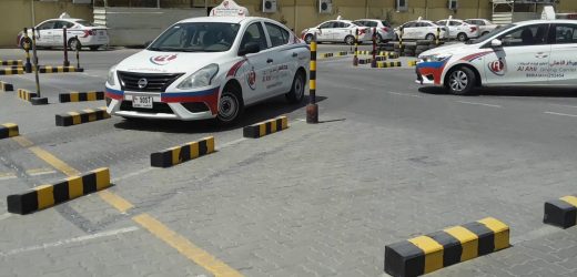 Did you pass your yard test? Parking Tests become Fully Automated