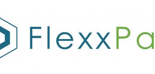 FLEXXPAY Industry Employees Pay Platform in UAE