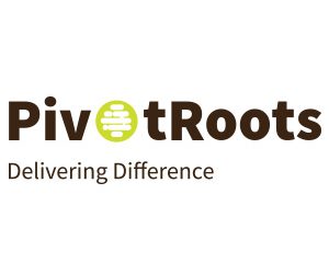 Pivotroots: Digital Marketing Services in UAE