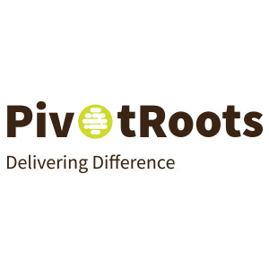 Pivotroots: Digital Marketing Services in UAE