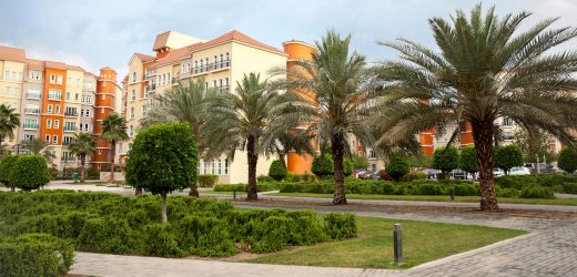 Discovery Gardens Area Guide