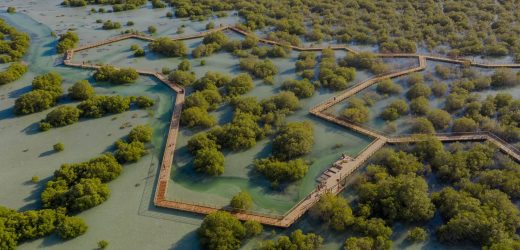 Abu Dhabi Mangrove Walk Park is now open