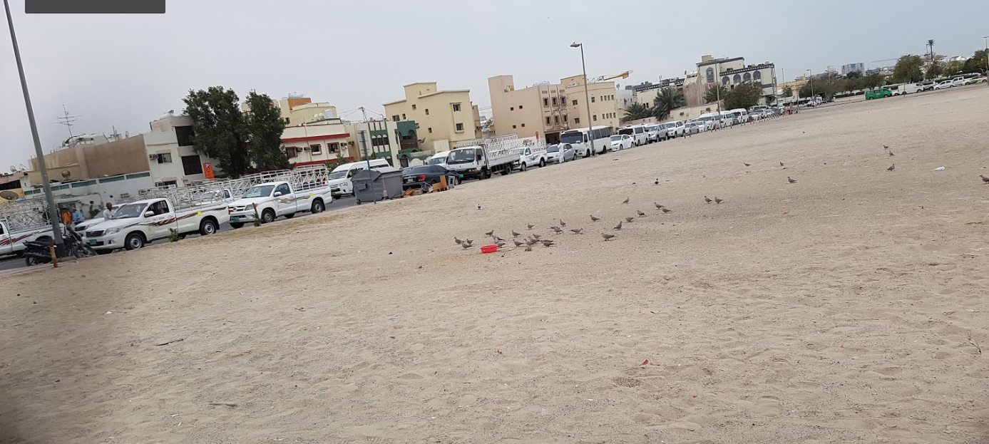 Hor AI Anz , Turnoff Bus Stop in Dubai