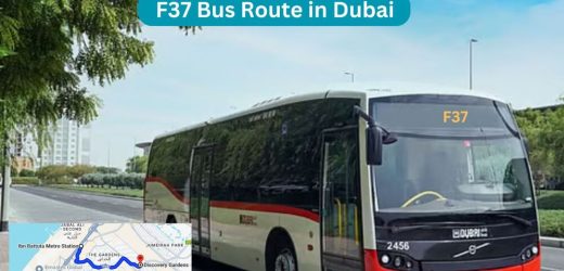 F37 Bus Route in Dubai – Time Schedule, Stops and Maps