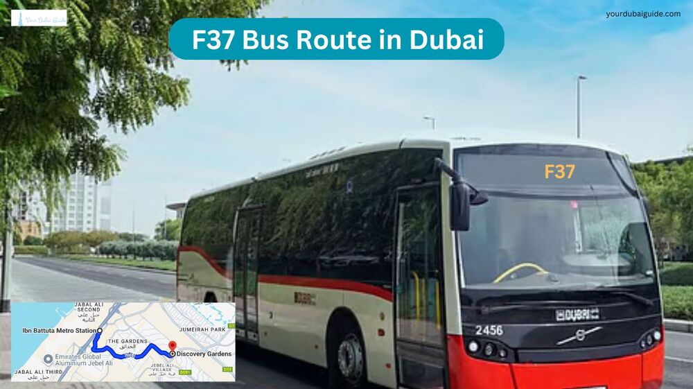 F37 Bus Route in Dubai – Time Schedule, Stops and Maps