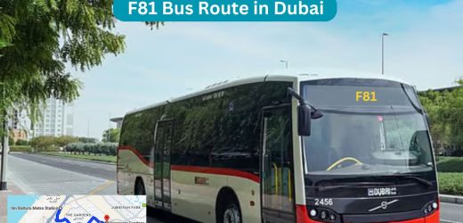 F81 Bus Route in Dubai – Time Schedule, Stops and Maps
