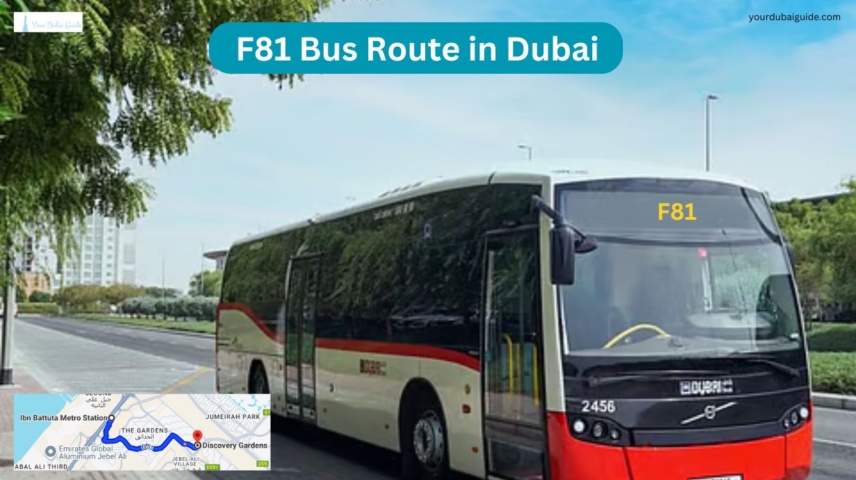 F81 Bus Route in Dubai – Time Schedule, Stops and Maps