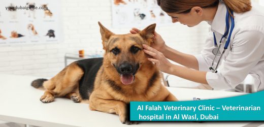Al Falah Veterinary Clinic – Veterinarian hospital in Al Wasl, Dubai
