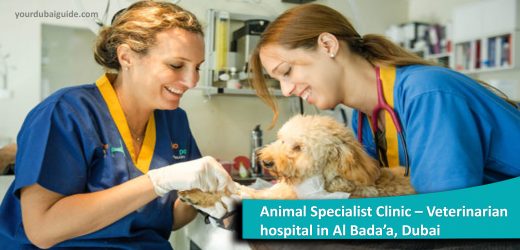 Animal Specialist Clinic – Veterinarian hospital in Al Bada’a, Dubai