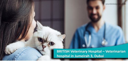BRITISH Veterinary Hospital – Veterinarian hospital in Jumeirah 3, Dubai