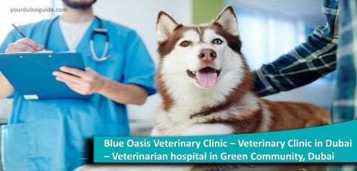 Blue Oasis Veterinary Clinic – Veterinary Clinic in Dubai – Veterinarian hospital in Green Community, Dubai