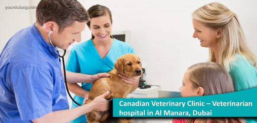 Canadian Veterinary Clinic – Veterinarian hospital in Al Manara, Dubai