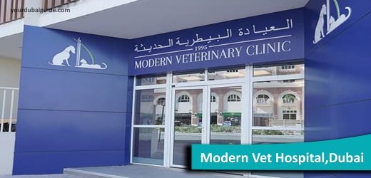 Modern Vet Hospital in Al Safa, Dubai Contact Details, How to Book?