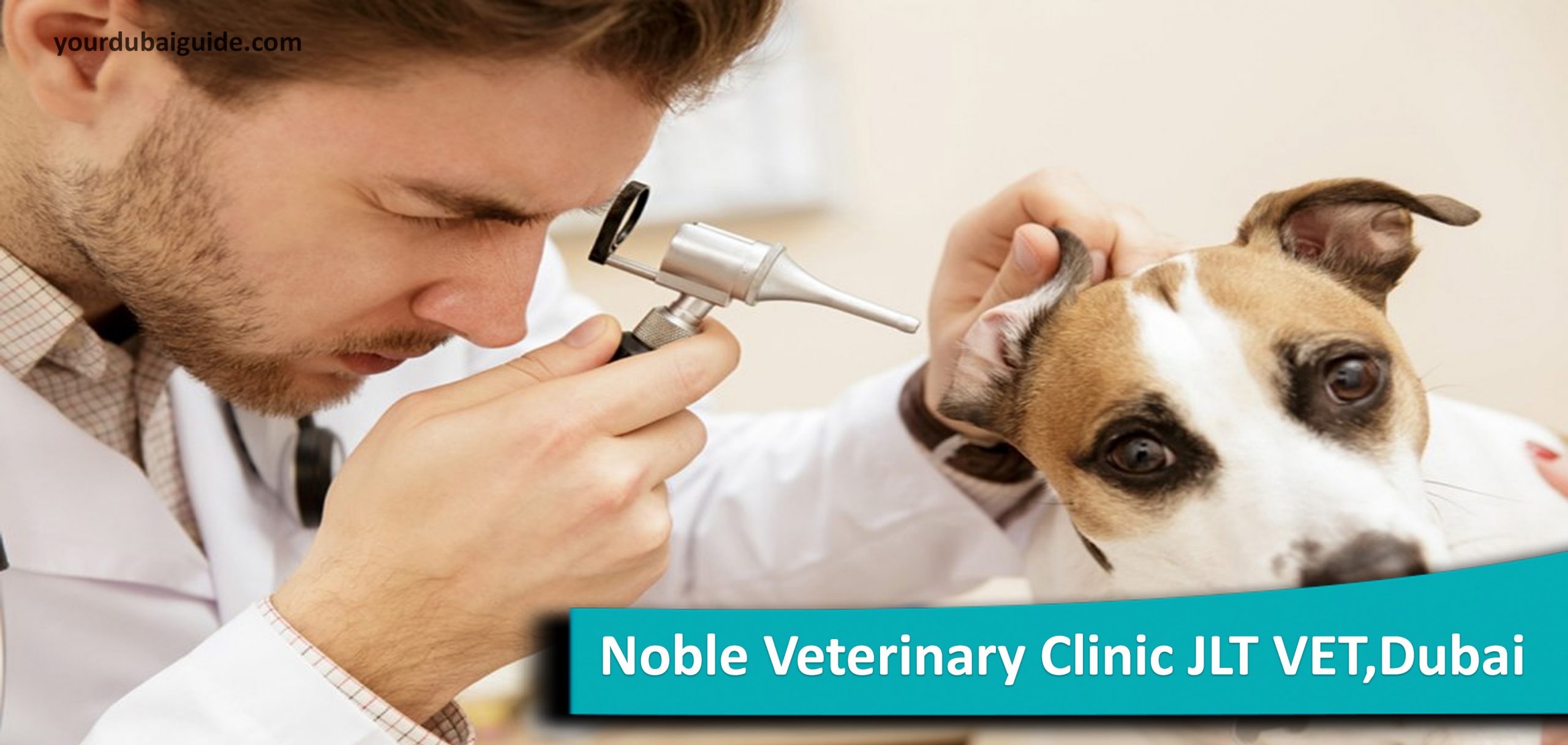Noble Veterinary Clinic JLT VET – Veterinarian hospital in Jumeirah lake towers, Dubai