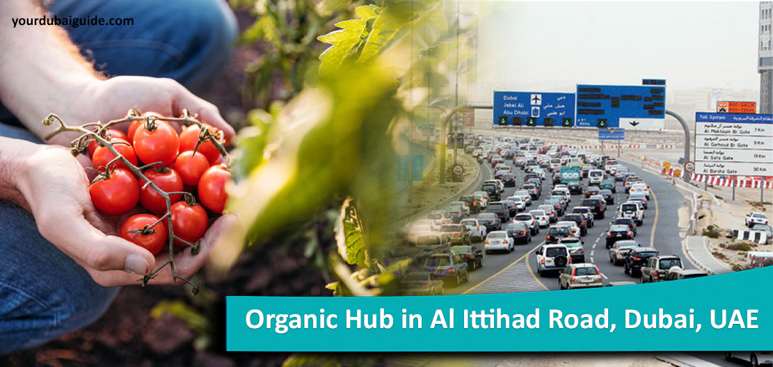 Organic Hub in Al Ittihad Road, Dubai, UAE