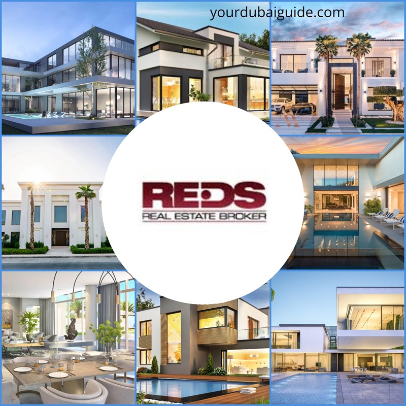 REDS Real Estate Broker in Jumeirah Beach Residence, Dubai, UAE