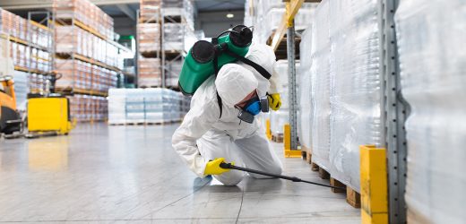 Al Ameen Building Cleaning and Pest Control Sharjah, Contact details, Cost, Services, How to Book?