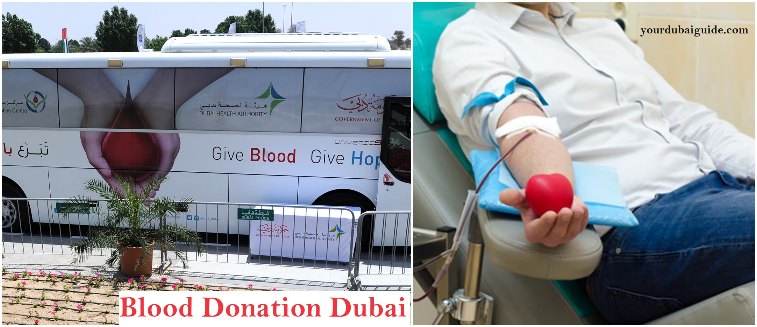Blood Bank in Dubai, UAE: Location, Check Eligibility, Register to Donate Blood?