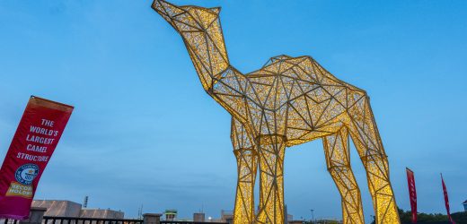 World’s Largest Camel Structure at Riverland Dubai Parks & Resorts: Check How big it is!!!