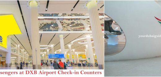 AI Powered Robot helps passengers travelling through DXB Airport Dubai: Check How