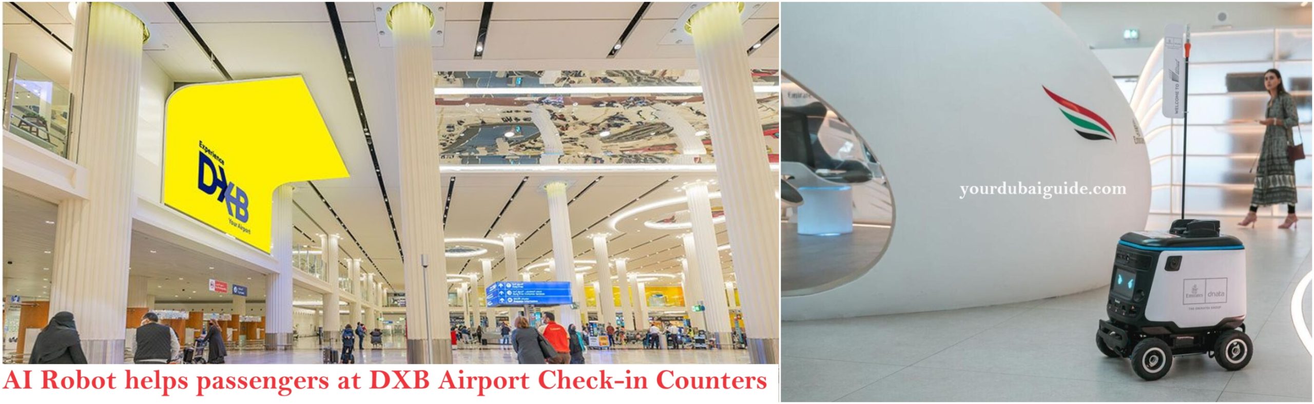 AI Powered Robot helps passengers travelling through DXB Airport Dubai: Check How