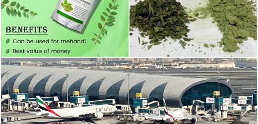 8.9 kg of powdered cannabis were found in the backpack that was confiscated at the Dubai Airport.