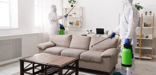 Urban Maids – House / Office Cleaning Services in  Dubai