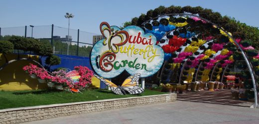 Dubai Butterfly Garden: Attractions, Cost, Open time, Group tickets