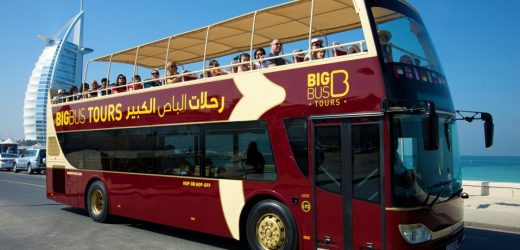 Big Bus Dubai: Contact, Routes, Timing, Cost, How to book?