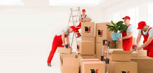 Justboxit Relocation Shipping LLC in Dubai Contact Details, Services, How to Book?