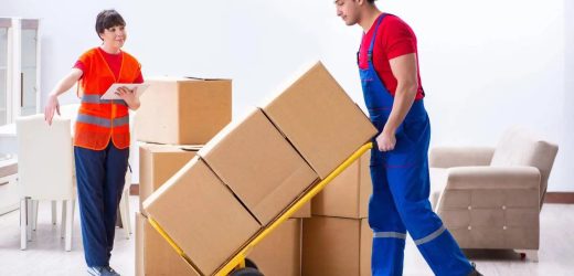 Le Voyage Packer & Movers LLC in Dubai Contact Details, Services, How to Book?