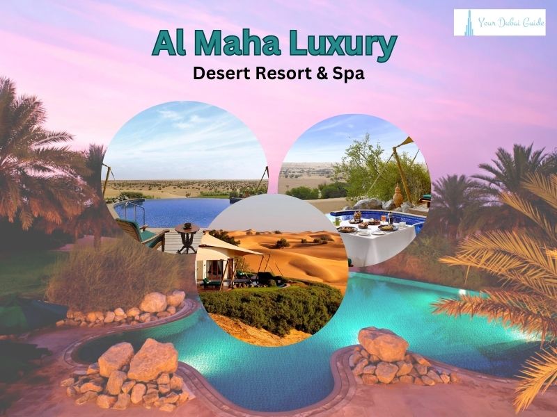 Celebrate This Festive Season at Al Maha Luxury Desert Resort & Spa