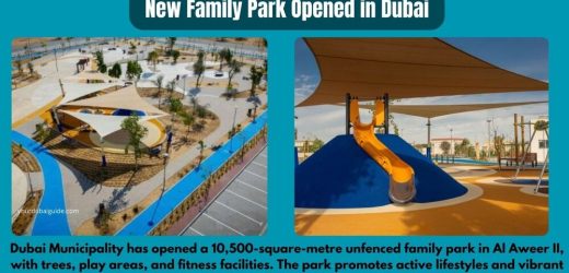 New Family Park Opened in Dubai: Date, Time, Contact Details