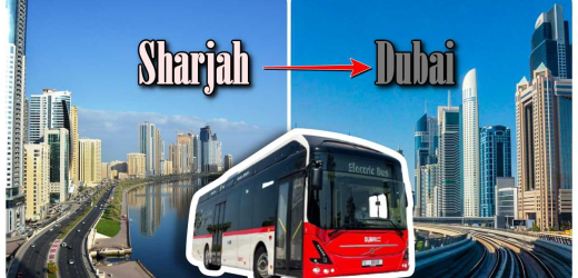 Bus from Sharjah to Dubai: Route, Fare and Timings