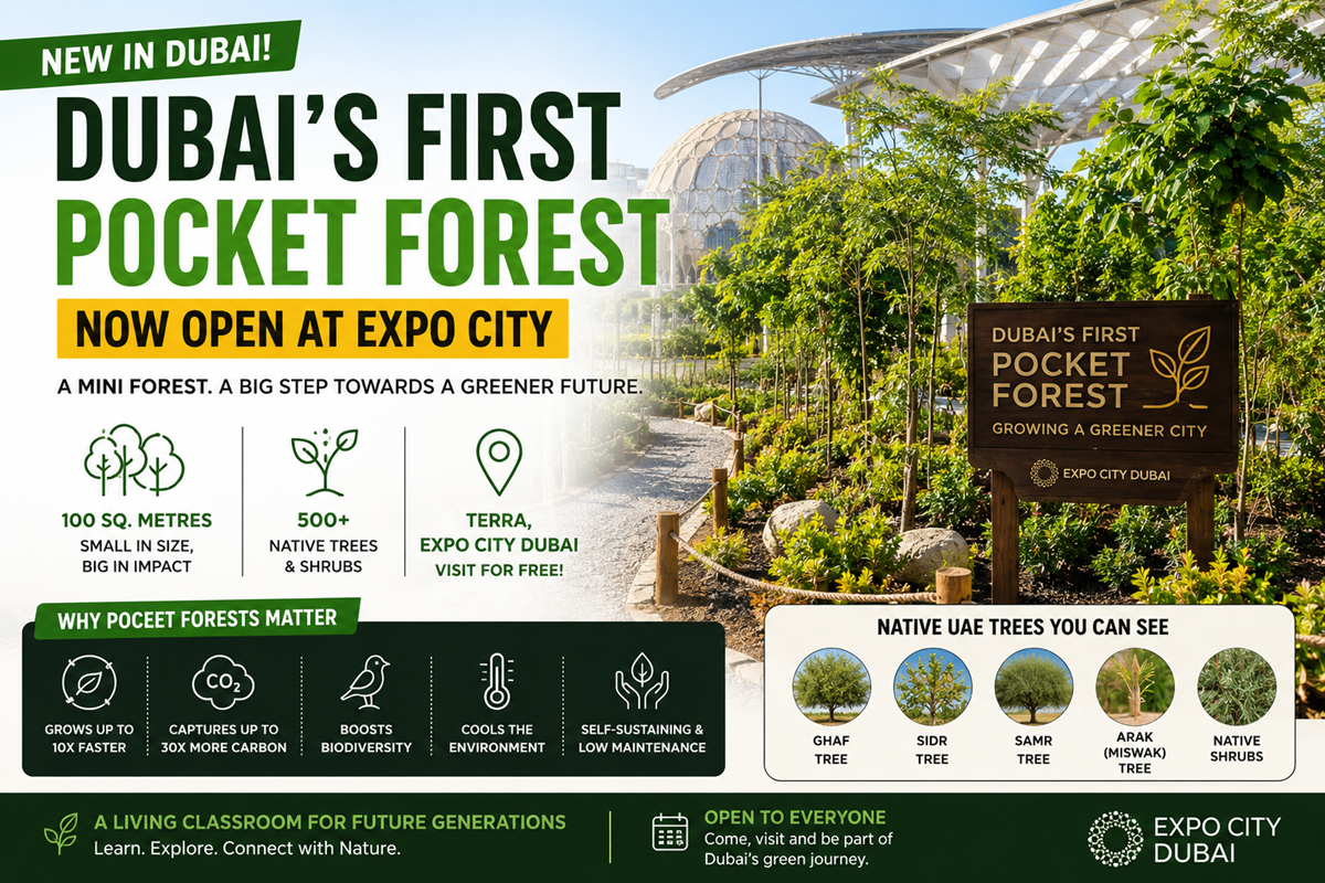 Dubai’s First Pocket Forest Opens at Expo City: Free Attraction with 500+ Native Trees